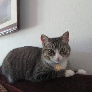 Meet your Posher, Mary